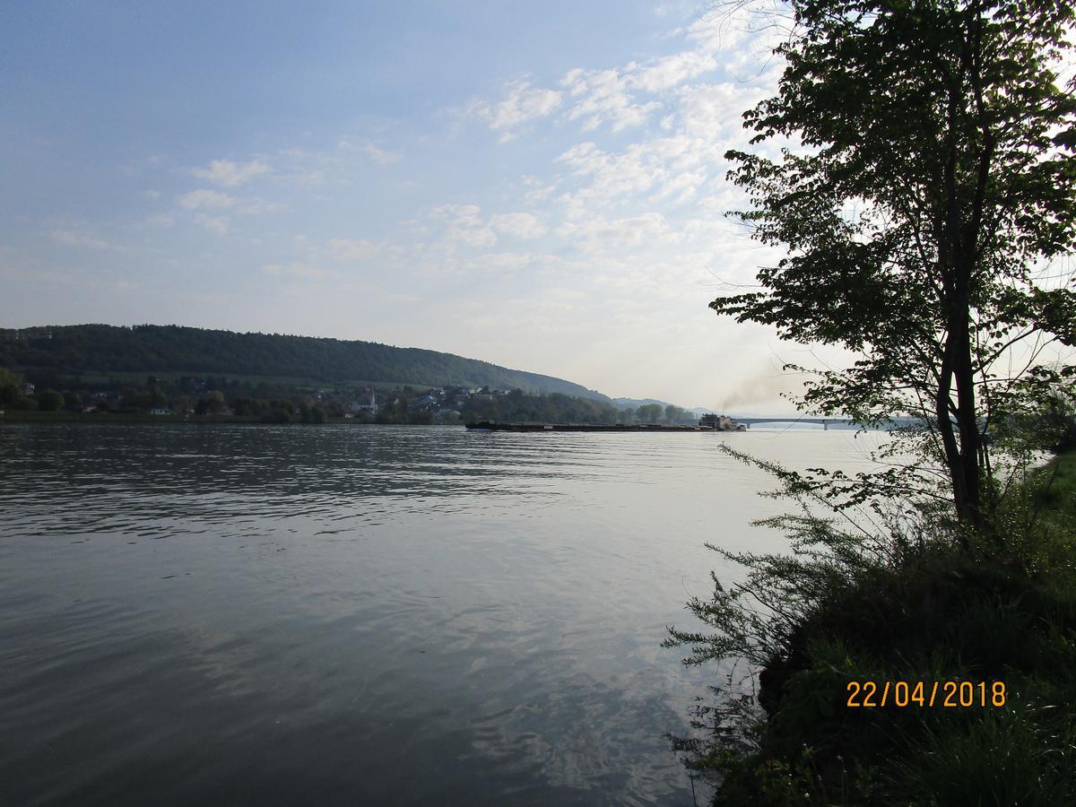Privatzimmer Familie Wagner Pöchlarn Buitenkant foto